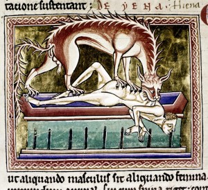 hyena-eating-corpse-300x274