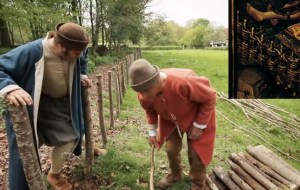 Peter Ginn makes a wattle fence with a "Tudor fence expert" (inset, detail from Robert Campin's Seilern Triptych)