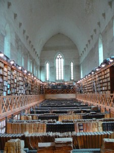 tumblr_oqexa0oz8t1syzcjgo1_500