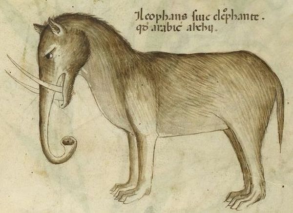 25e58865266eadd5bdb9a530a627b0db-medieval-art-middle-ages